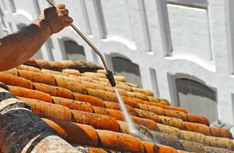 Nettoyage de toitures - Varennes-sur-Loire